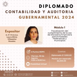 Diplomado de contabilidad y auditoria gubernamental modulo 1