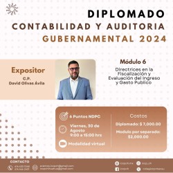 Diplomado contabilidad y auditoria gubernamental modulo 6