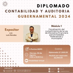 Diplomado de contabilidad y auditoria gubernamental modulo 1