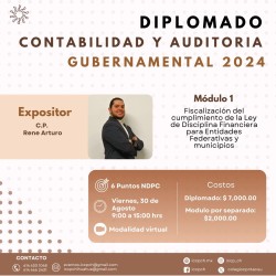 Diplomado de contabilidad y auditoria gubernamental modulo 1