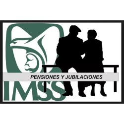 seguridad-social-2024
