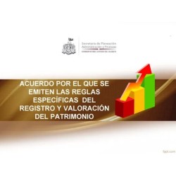 Acuerdo por el que se Emiten las Reglas de REgistro y valuación del Patrimonio.