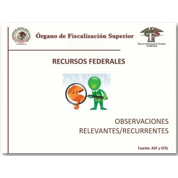 Observaciones Relevantes y Recurrentes.